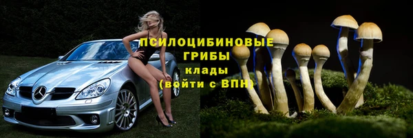гидра Алексин
