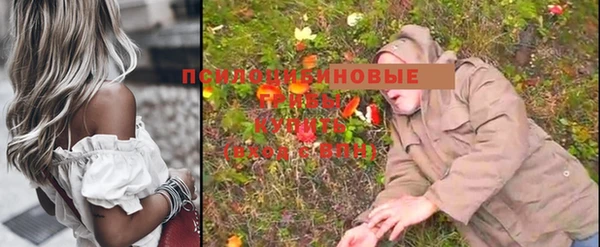 не бодяженный Алзамай