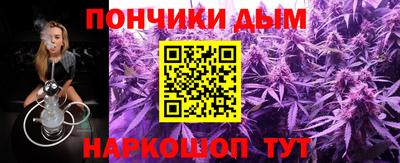 индика Кинель