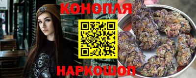 индика Кинель