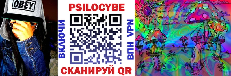 Псилоцибиновые грибы Cubensis Новозыбков