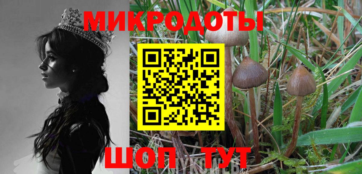 Галлюциногенные грибы Magic Shrooms Новозыбков